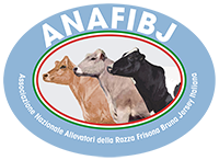 anafi-logo